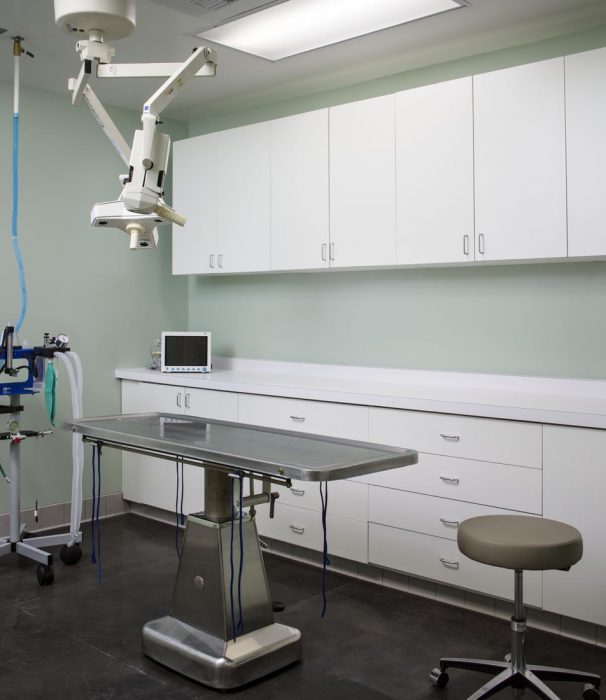 Renovated interior space for new vet clinic in San Marcos, California completed by PRAVA Construction.